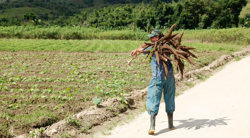 #PraCegoVer imagem de um agriculor carregando mandioca